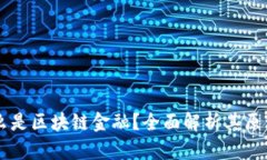 究竟什么是区块链金融？全面解析其原理与应用