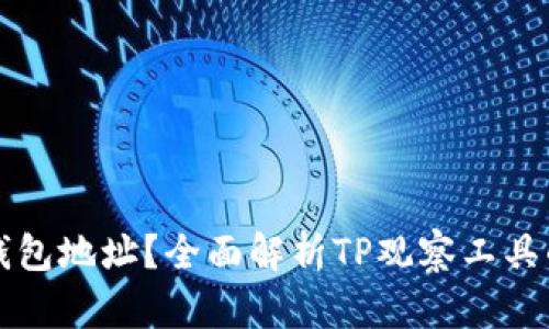 如何使用TP观察钱包地址？全面解析TP观察工具的功能与使用方法
